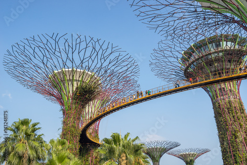 Super Tree Grove at Gardens By The Bay Singapore