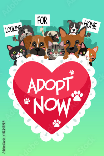 Pets For Adoption Poster
