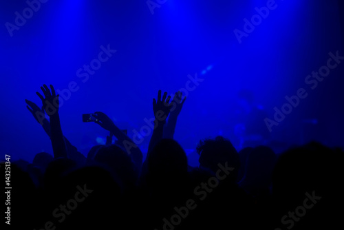 Music concert crowd, people enjoying live rock performance