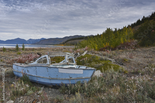Old abandoned wooden boat wreck with peeling blue paint on the shore