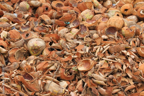 Coconut Shells / Heap of coconut shells at the beach of Lomé, the capital of Togo in West Africa