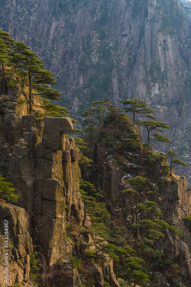 Landscape of Huangshan (Yellow Mountains). Huangshan Pine trees. Located in Anhui province in eastern China. It is a UNESCO World Heritage Site, and one of China's major tourist destinations. Landscape of Huangshan (Yellow Mountains). Huangshan Pine trees. Located in Anhui province in eastern China. It is a UNESCO World Heritage Site, and one of China's major tourist destinations.