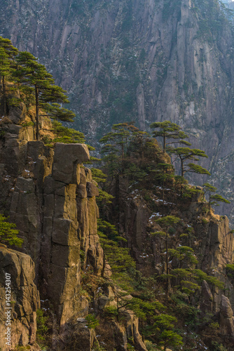 Landscape of Huangshan  Yellow Mountains . Huangshan Pine trees. Located in Anhui province in eastern China. It is a UNESCO World Heritage Site  and one of China s major tourist destinations.