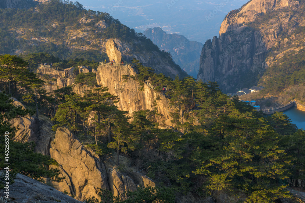 Landscape of Huangshan (Yellow Mountains). Huangshan Pine trees. Located in Anhui province in eastern China. It is a UNESCO World Heritage Site, and one of China's major tourist destinations.