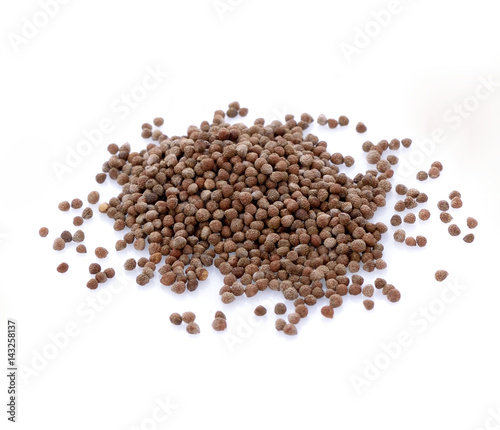  Coriander seeds isolated on white background