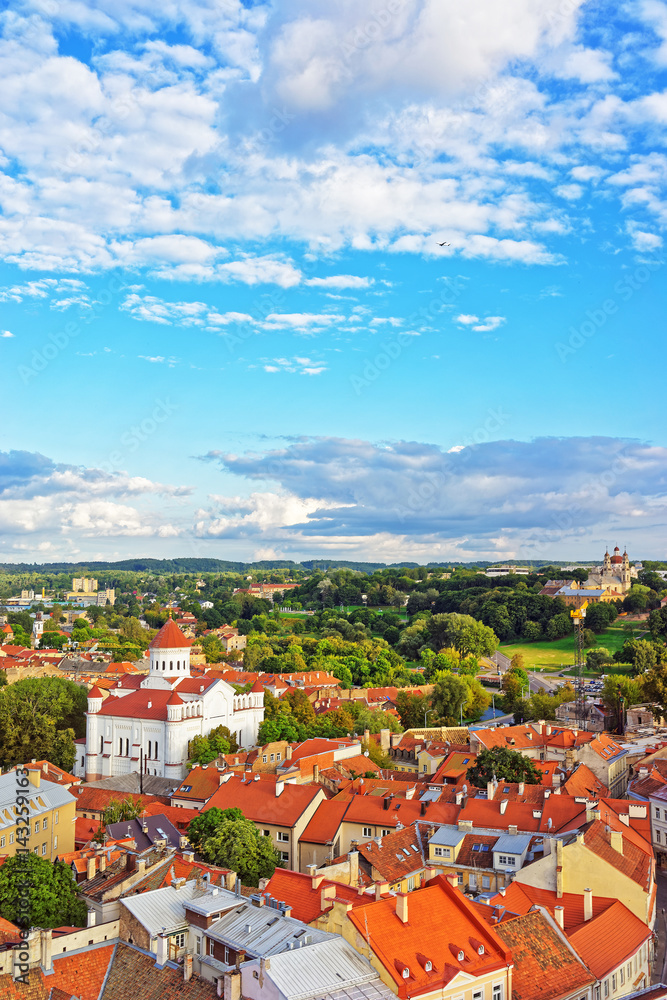 Rooftop of Cathedral of Theotokos in Vilnius - obrazy, fototapety, plakaty 