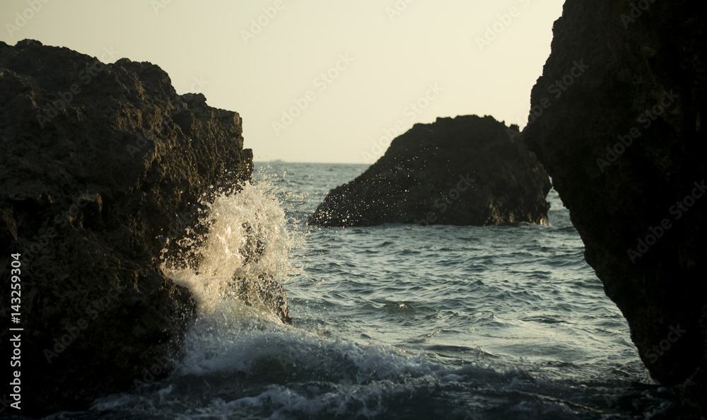 Fototapeta premium Ocean Coral