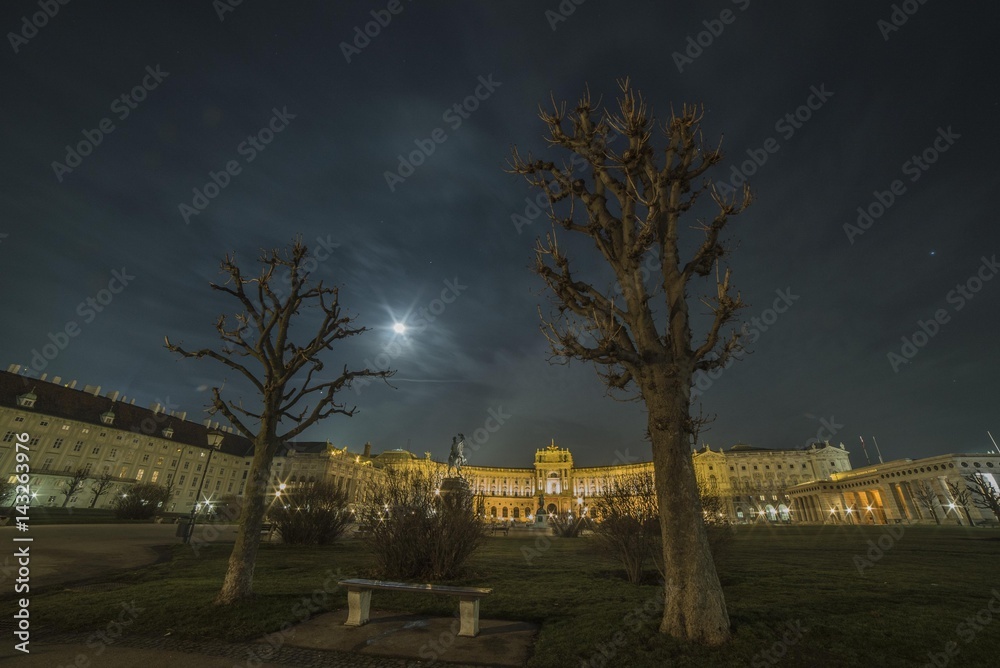 Trees in front of the Viennese National Library Hofburg Palace with night sky and moon