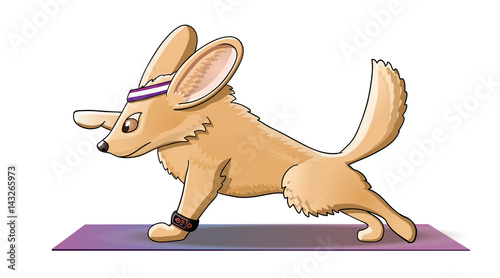 Fennec fitness workout