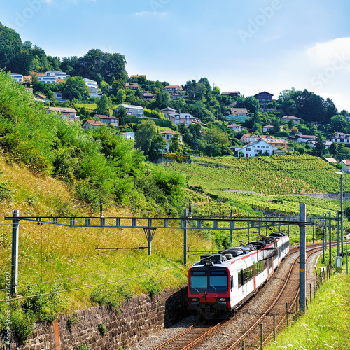 Running train at Lavaux Vineyard Terrace hiking trail Swiss