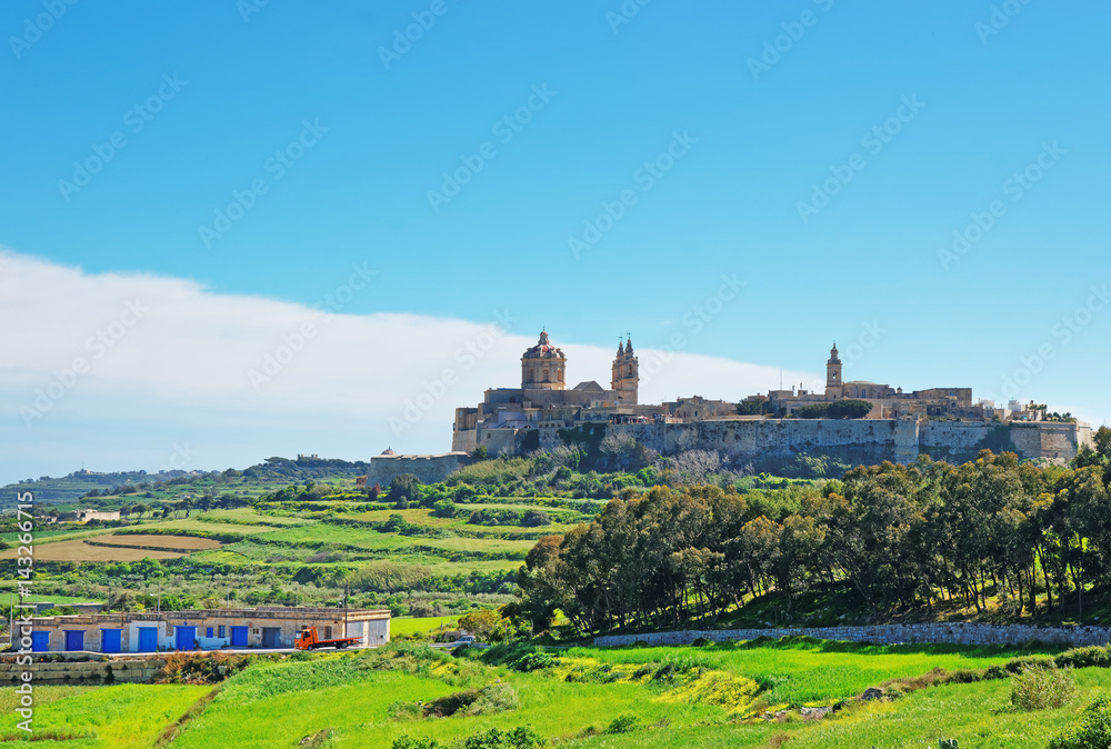 Skyline of Mdina with Saint Paul Cathedral