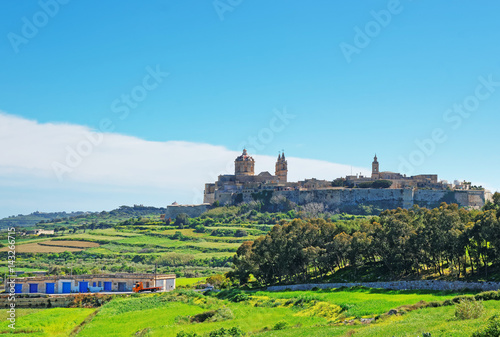 Skyline of Mdina with Saint Paul Cathedral