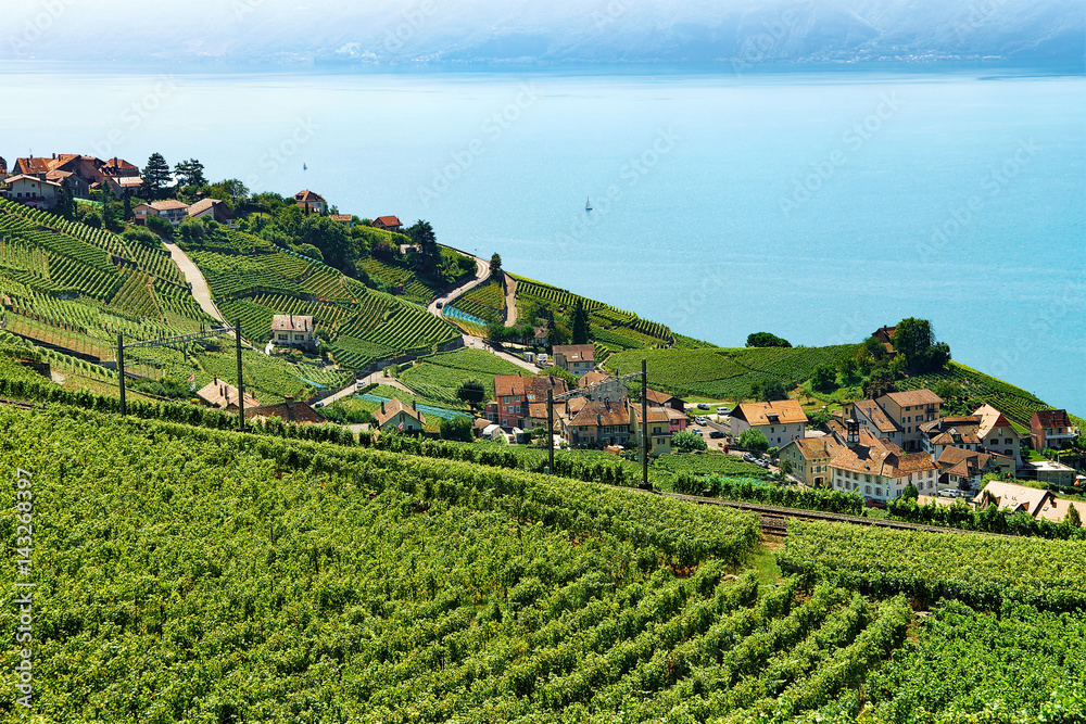 Railway line Lavaux Vineyard Terraces Lake Geneva Switzerland
