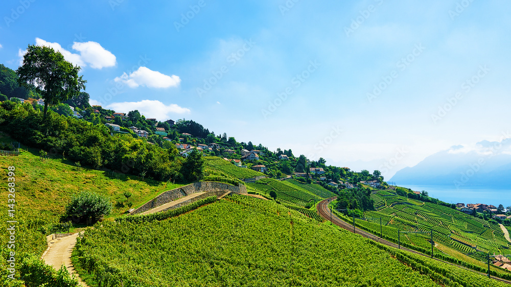 Railway line Lavaux Vineyard Terraces Lake Geneva of Switzerland