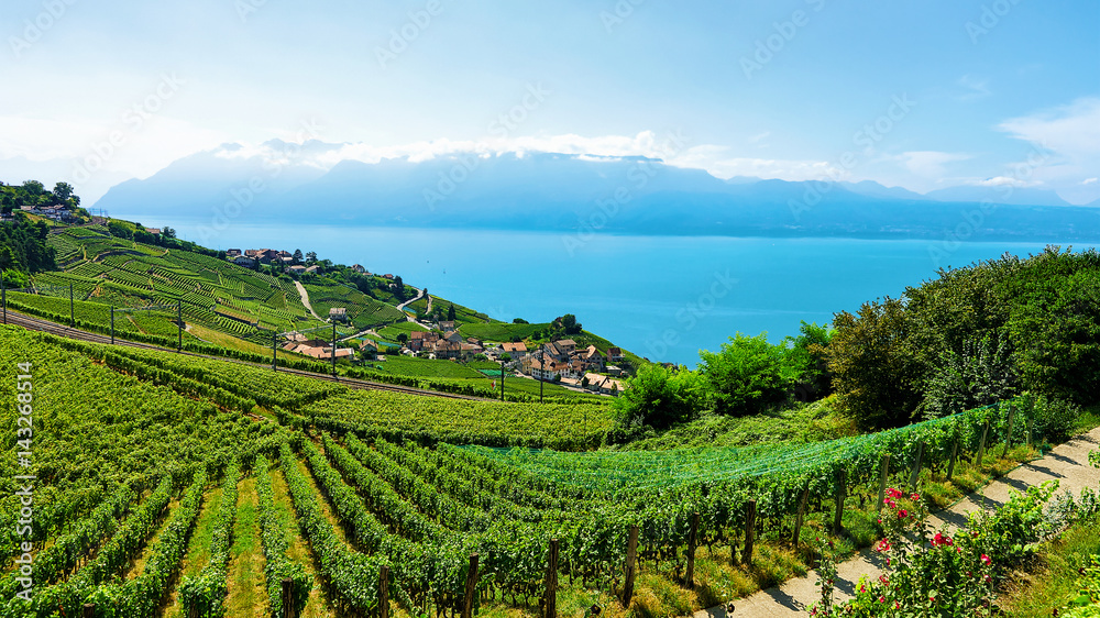 Railway line in Lavaux Vineyard Terraces Lake Geneva of Switzerland