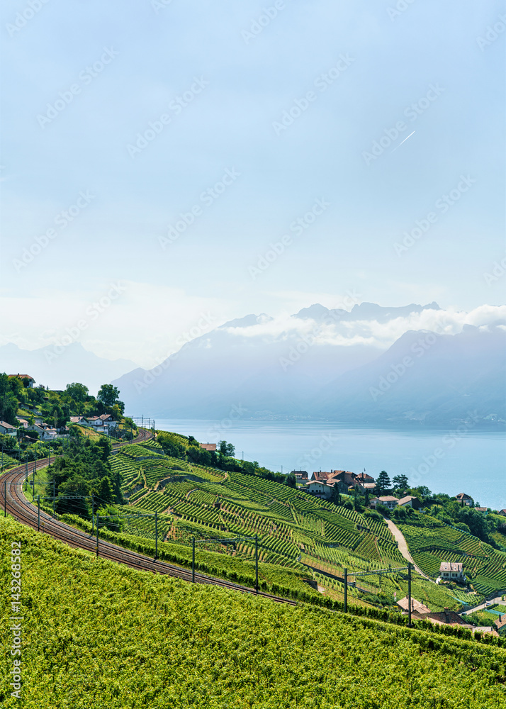 Fototapeta premium Railway line near Lavaux Vineyard Terraces Lake Geneva Switzerland