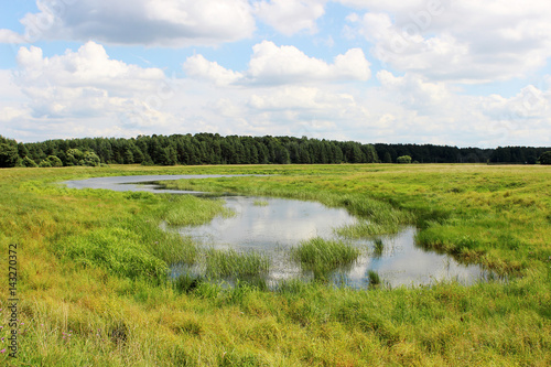 Oxbow lake in the wild meadow at summer. Green valley with old river bed.