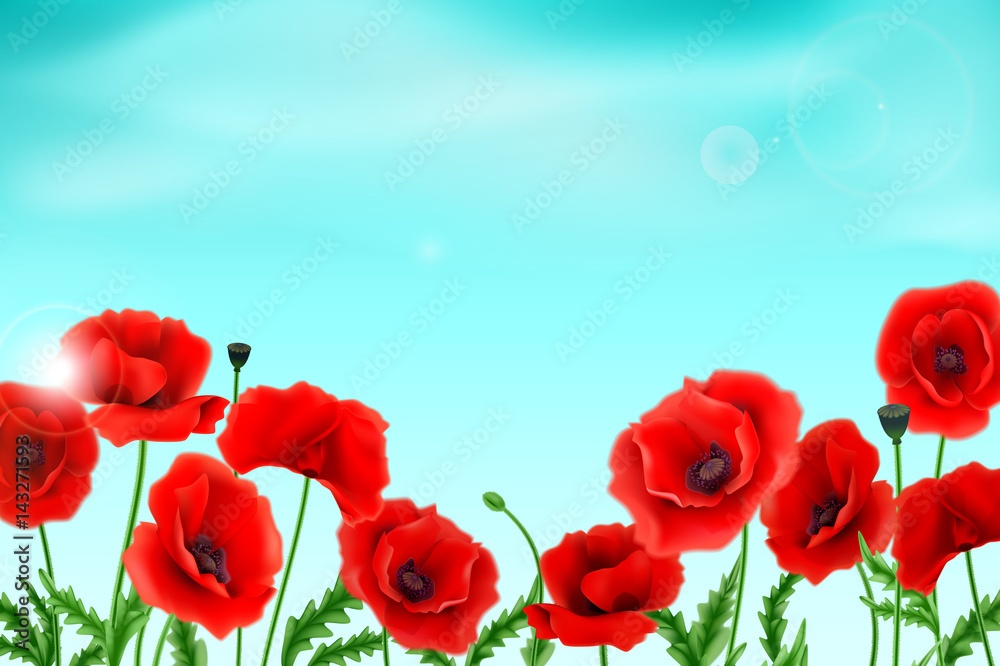 Obraz premium Greeting card with poppies can be used as invitation card for wedding, birthday and other holiday and summer background. Vector illustration.