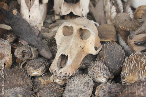 Skulls and Voodoo paraphernalia, Akodessawa Fetish Market, Lomé, Togo / This market is located in Lomé, the capital of Togo in West Africa and is is largest voodoo market in the world. 