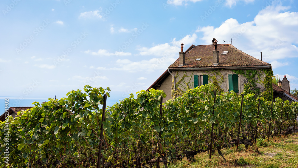 Chalet and Lavaux Vineyard Terrace hiking trail Switzerland Chalet and Lavaux Vineyard Terrace hiking trail Switzerland