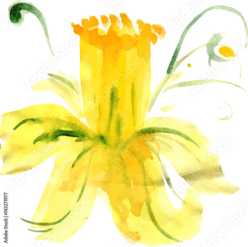 Stylized flower narcissus