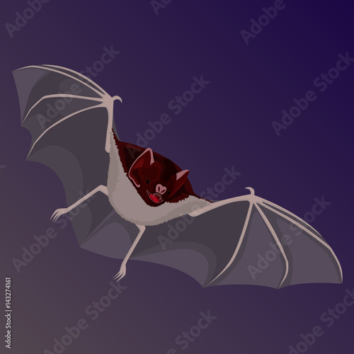 Brown flittermouse with opened wings flat design isolated