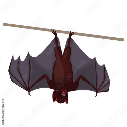 Brown flittermouse with opened wings flat design isolated on white.