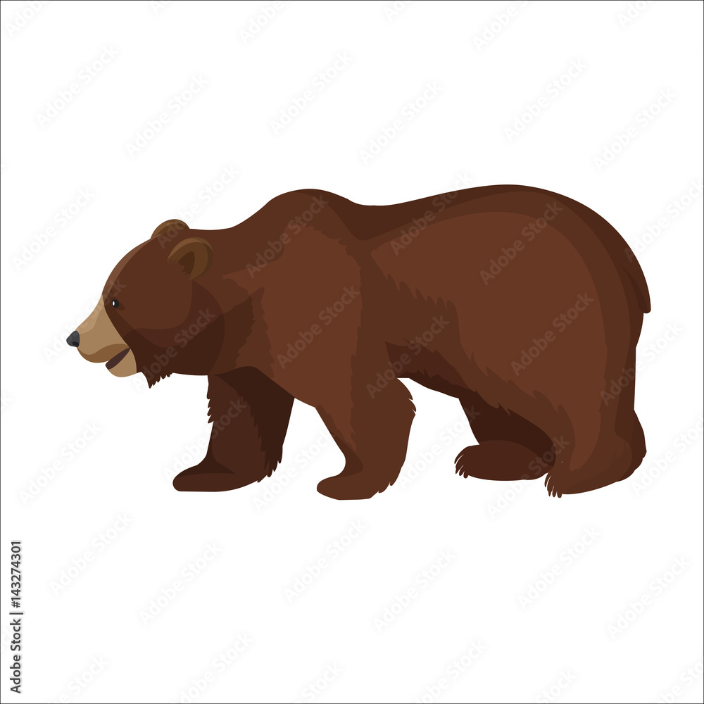 Large brown bear side view close-up graphic icon on white Large brown bear side view close-up graphic icon on white