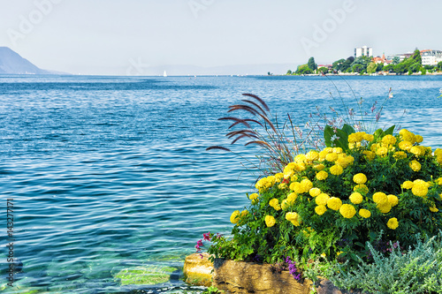 Flowers bloom at embankment of Geneva Lake in Montreux