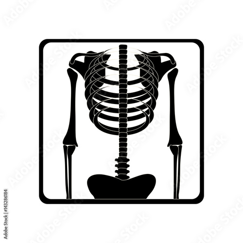silhouette body x-ray prescription, vector illustration design