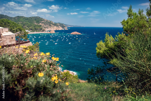 Sea and anchored boats with the plants and trees on the foreground, Town of Tossa de Mar, Spain