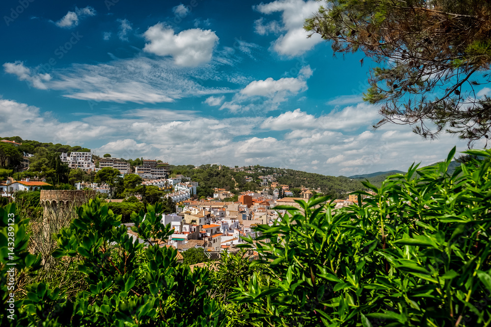 View of the town of Tossa de Mar with green bush on the foreground