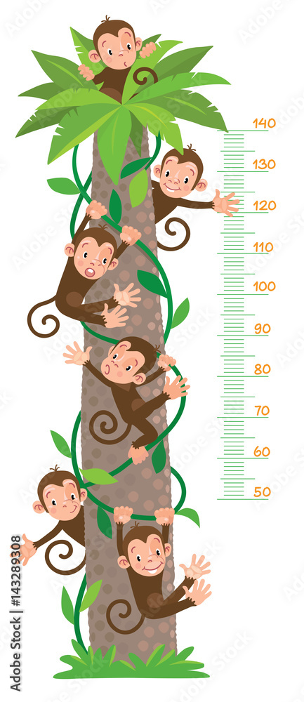 Naklejka premium Meter wall with big palm tree and funny monkeys