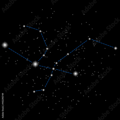 constellation Andromeda. vector image of a constellation