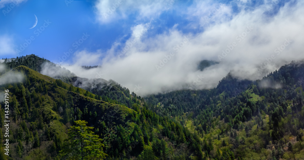 smokey mountains valley