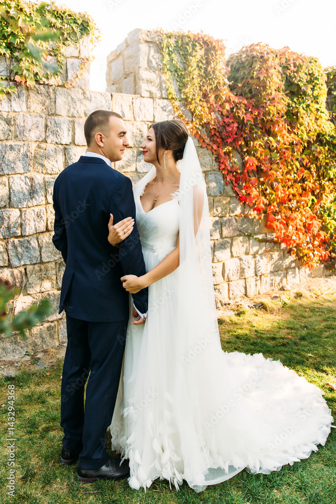 Wedding of a beautiful couple in nature