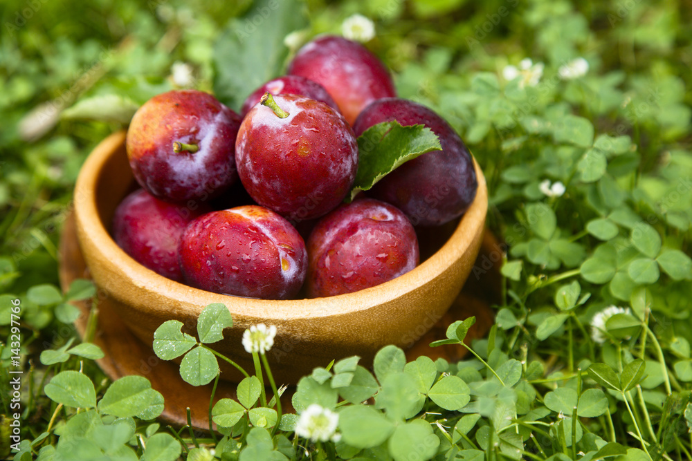 Fresh plums in wooden bowl