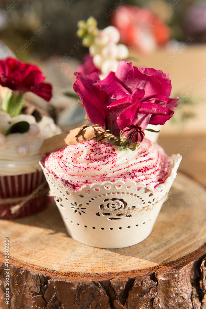Cupcake Cupcake