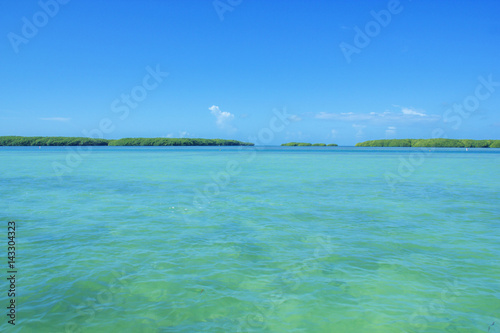 Florida Keys bay