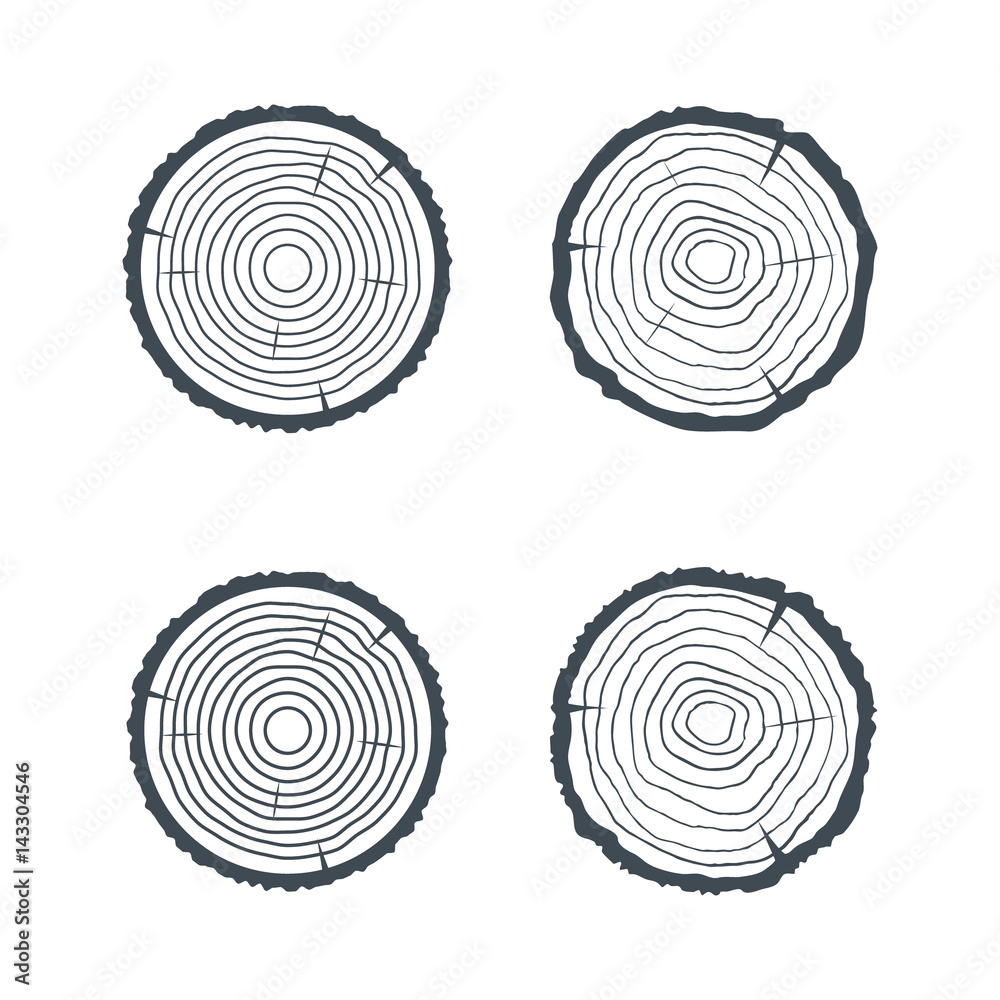 Fototapeta premium Log Cross section Four Isolated Illsutrations. Vector