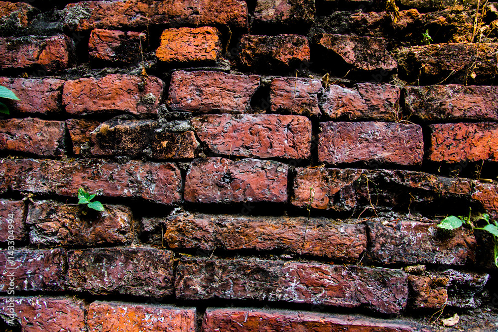 Naklejka premium Brick wall background