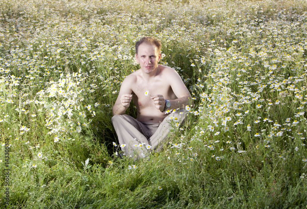man  in the field of camomiles guesses on a camomile..