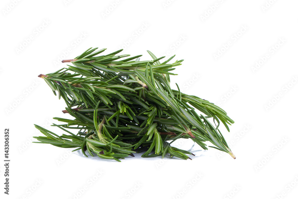 rosemary Herbs and Medicinal herbs. Organic healing herbs. fresh rosemary bunch rosemary isolated on white background rosemary Herbs and Medicinal herbs. Organic healing herbs. fresh rosemary bunch rosemary isolated on white background