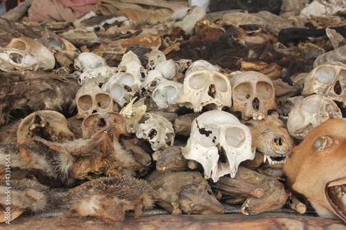 Monkey´s Skull and Voodoo paraphernalia, Akodessawa Fetish Market, Lomé, Togo / This market is located in Lomé, the capital of Togo in West Africa and is is largest voodoo market in the world. 