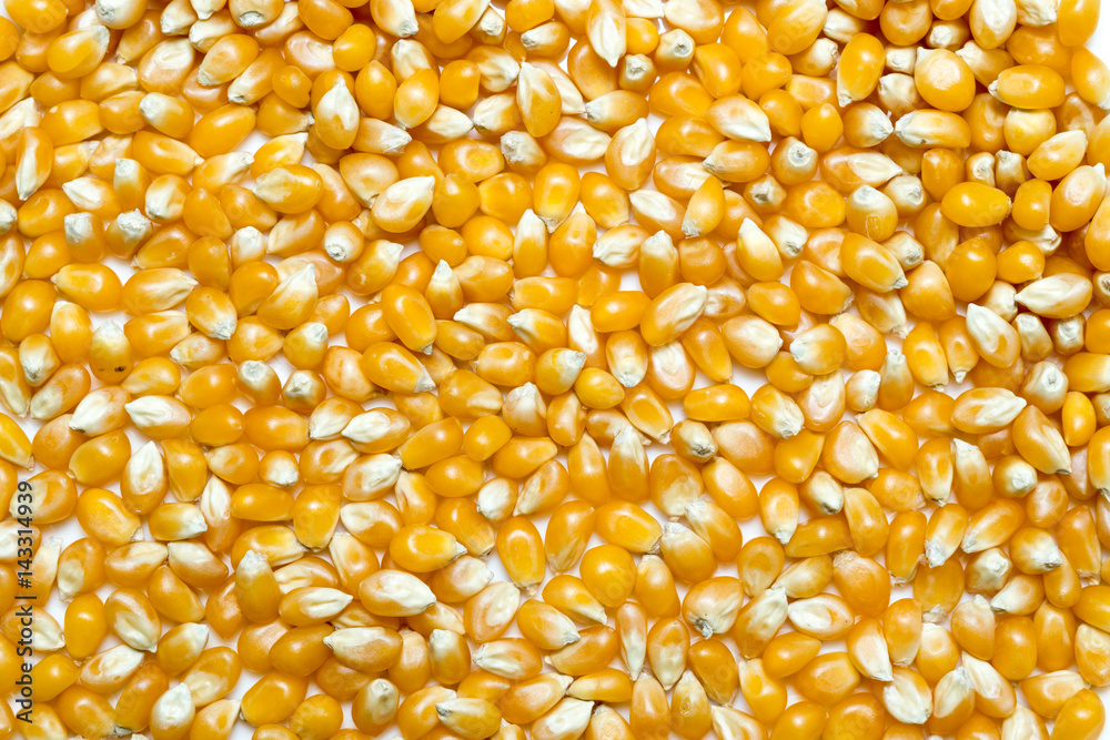 Popcorn seeds texture background Popcorn seeds texture background