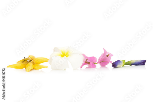 Fototapeta Naklejka Na Ścianę i Meble -  flower color yellow, white, pink, blue isolated on white background (plumeria, climbing ylang-ylang, pea butterfly, Bougainvillea)