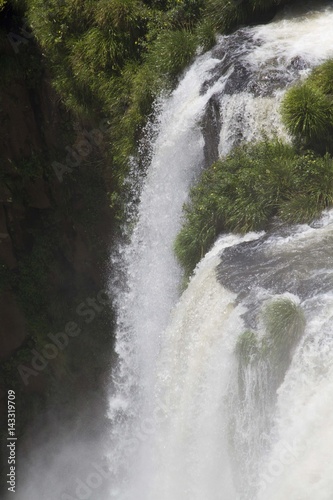 Water Falls  Iguazu  Misiones  Argentina 