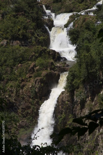 Water Falls  Iguazu  Misiones  Argentina 