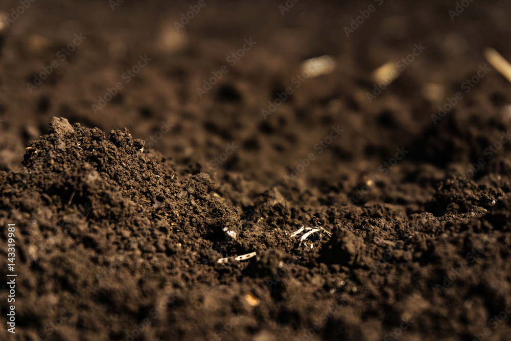 Closeup of a plowed field, fertile, black soil. Closeup of a plowed field, fertile, black soil.
