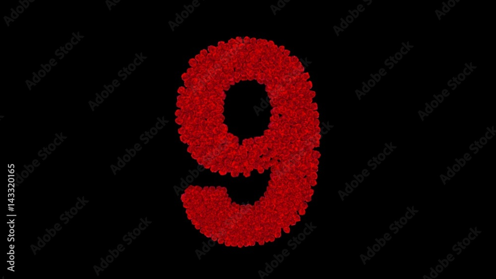 Number 9 made of red roses with alpha channel Number 9 made of red roses with alpha channel